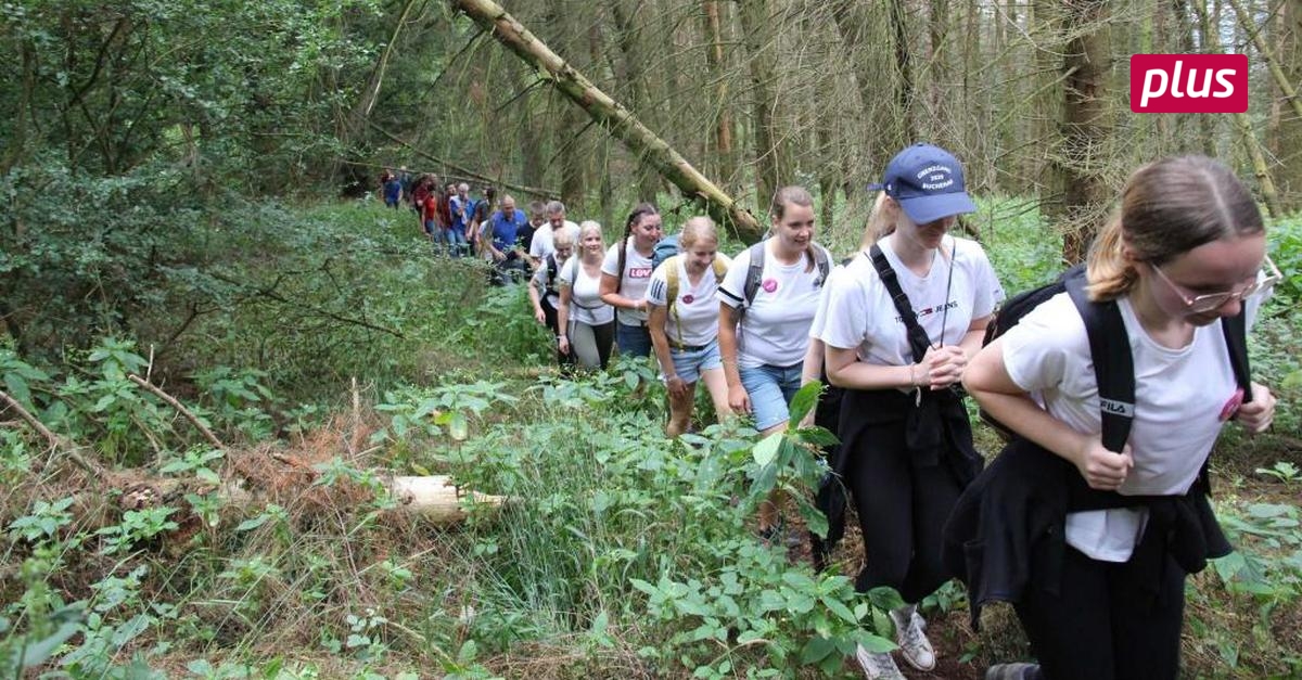 Buchenauer wollen Bäume pflanzen